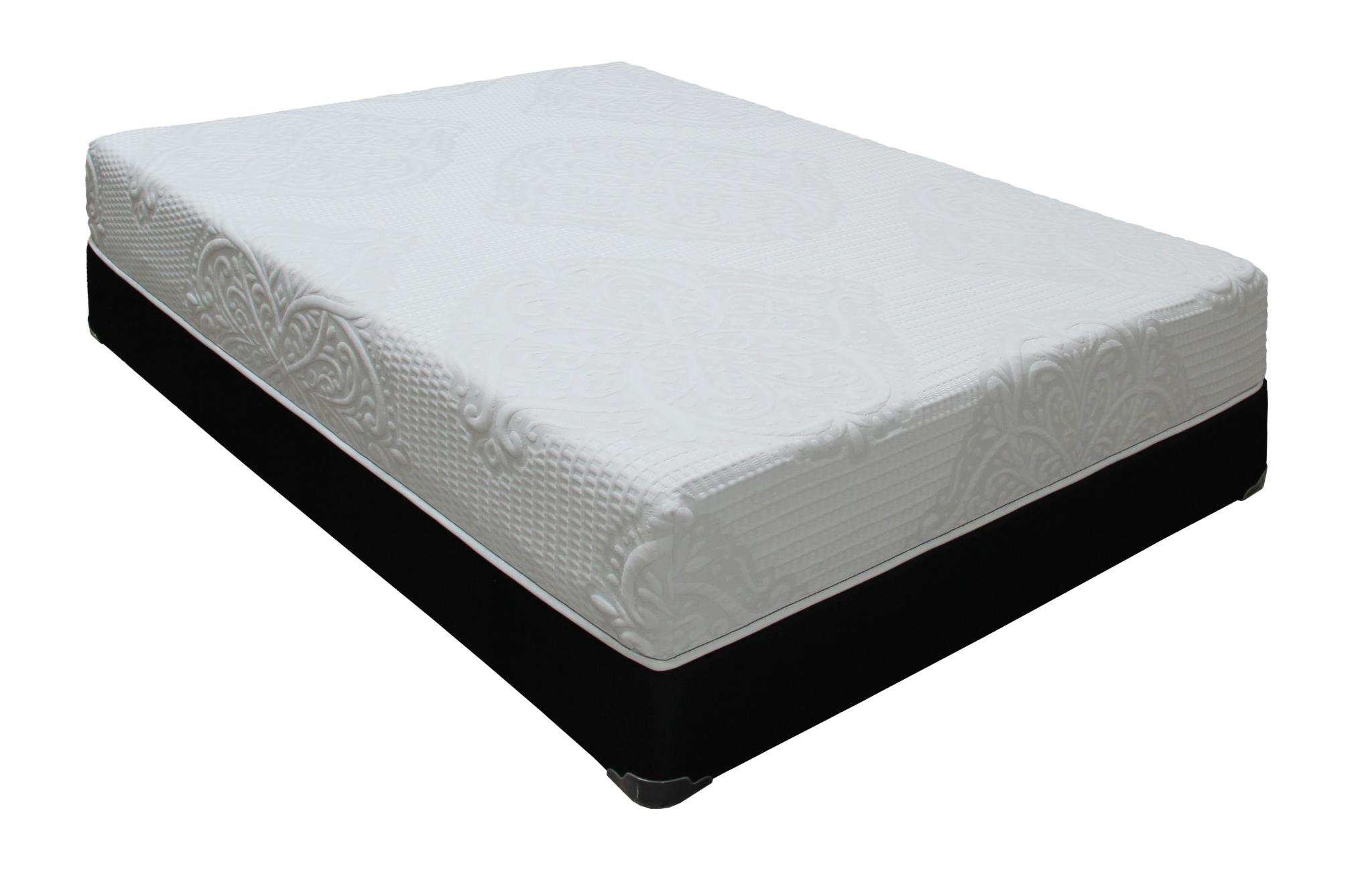 DYNAMIC FOAM 10