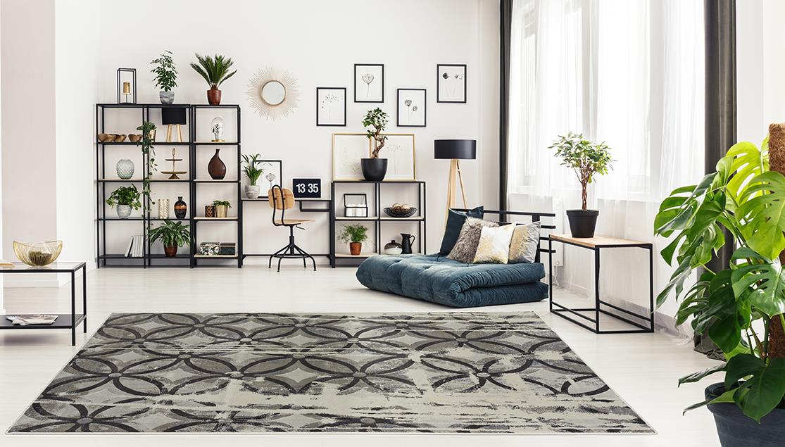 Napoli NA03 Gray Area Rug — view 7