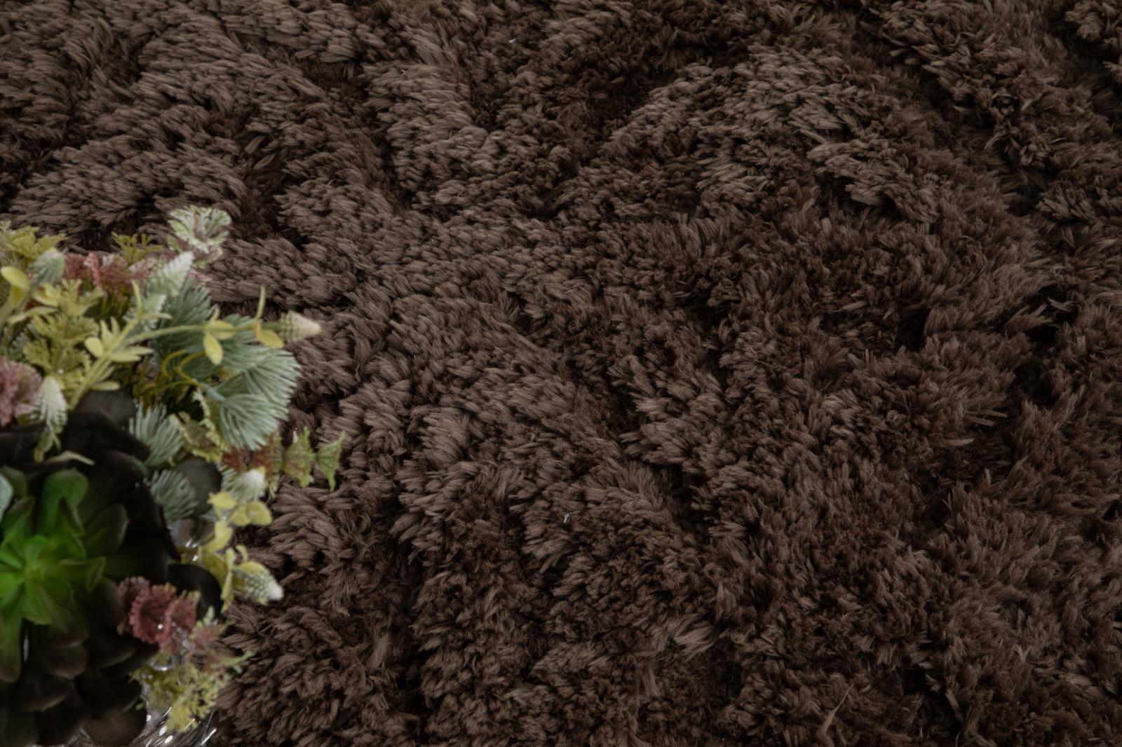 Eva EV04 Brown Shag Rug — view 4