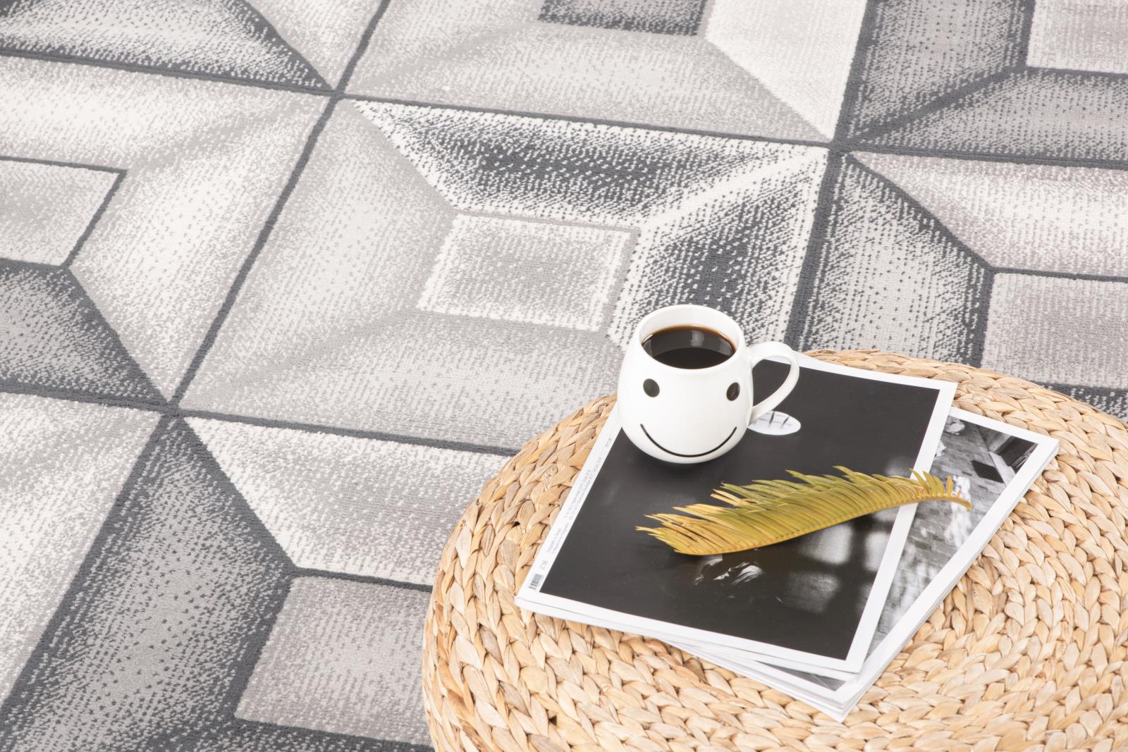 Lela LL08 Gray Area Rug — view 5