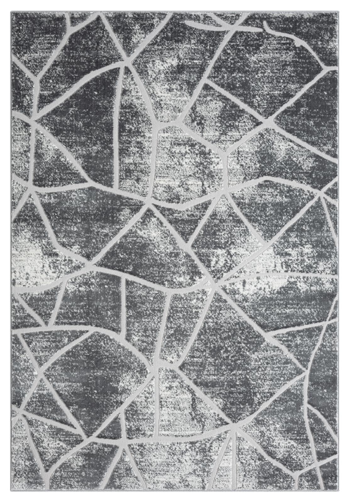 Riley RY04 Charcoal Gray Area Rug