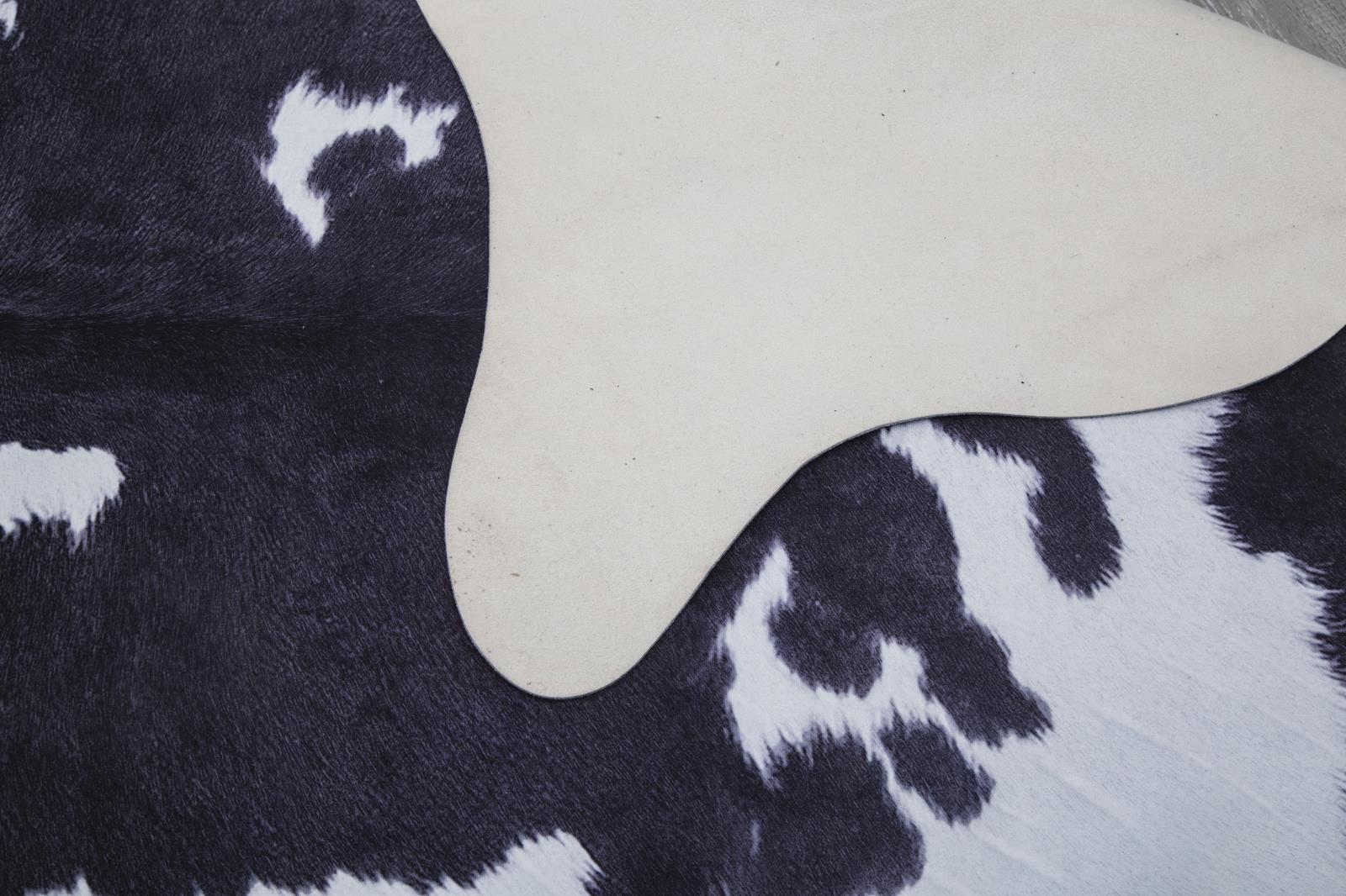 Rio RI06 Black Area Rug — view 4
