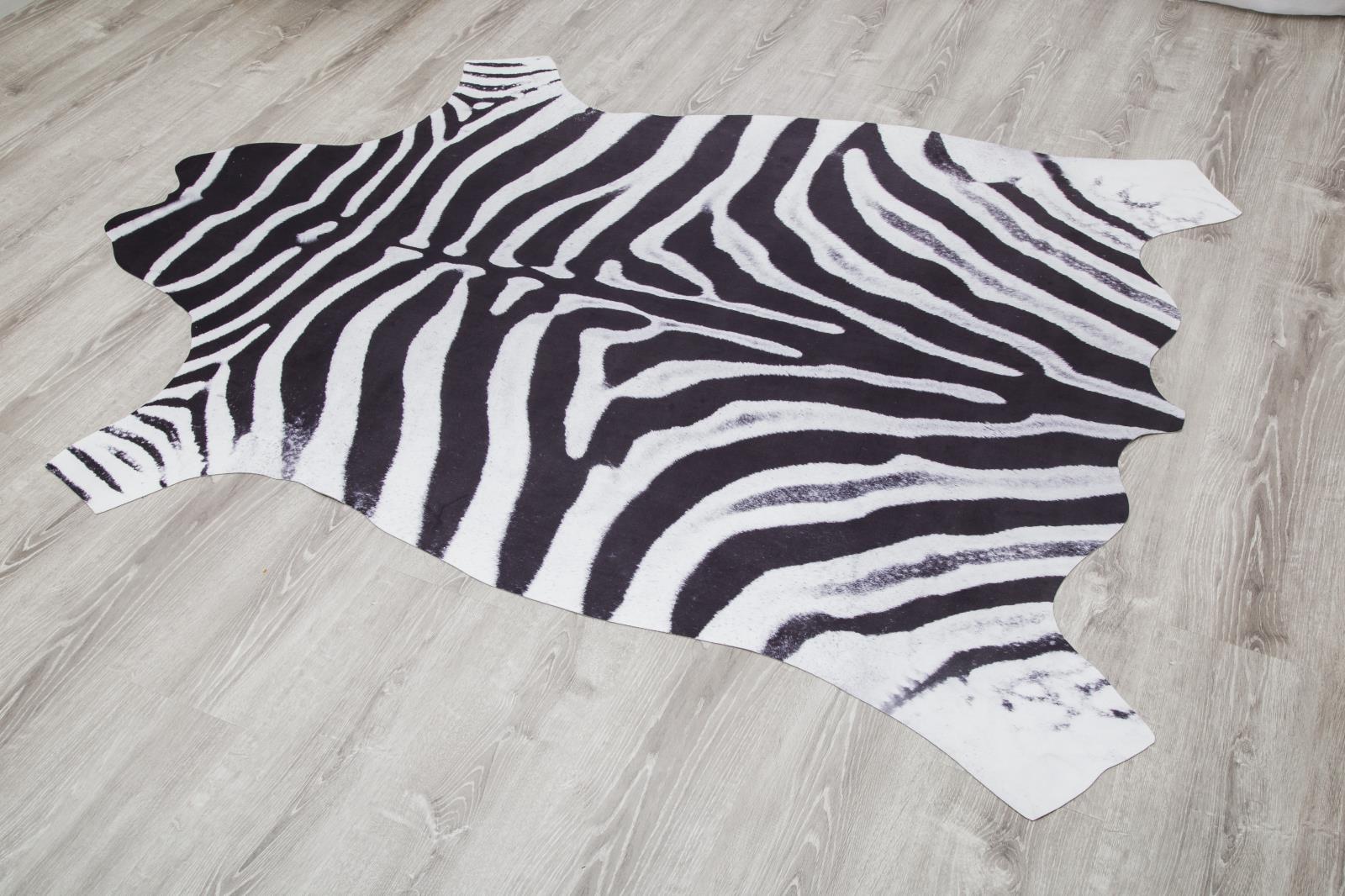 Rio RI09 Zebra Print Area Rug — view 2