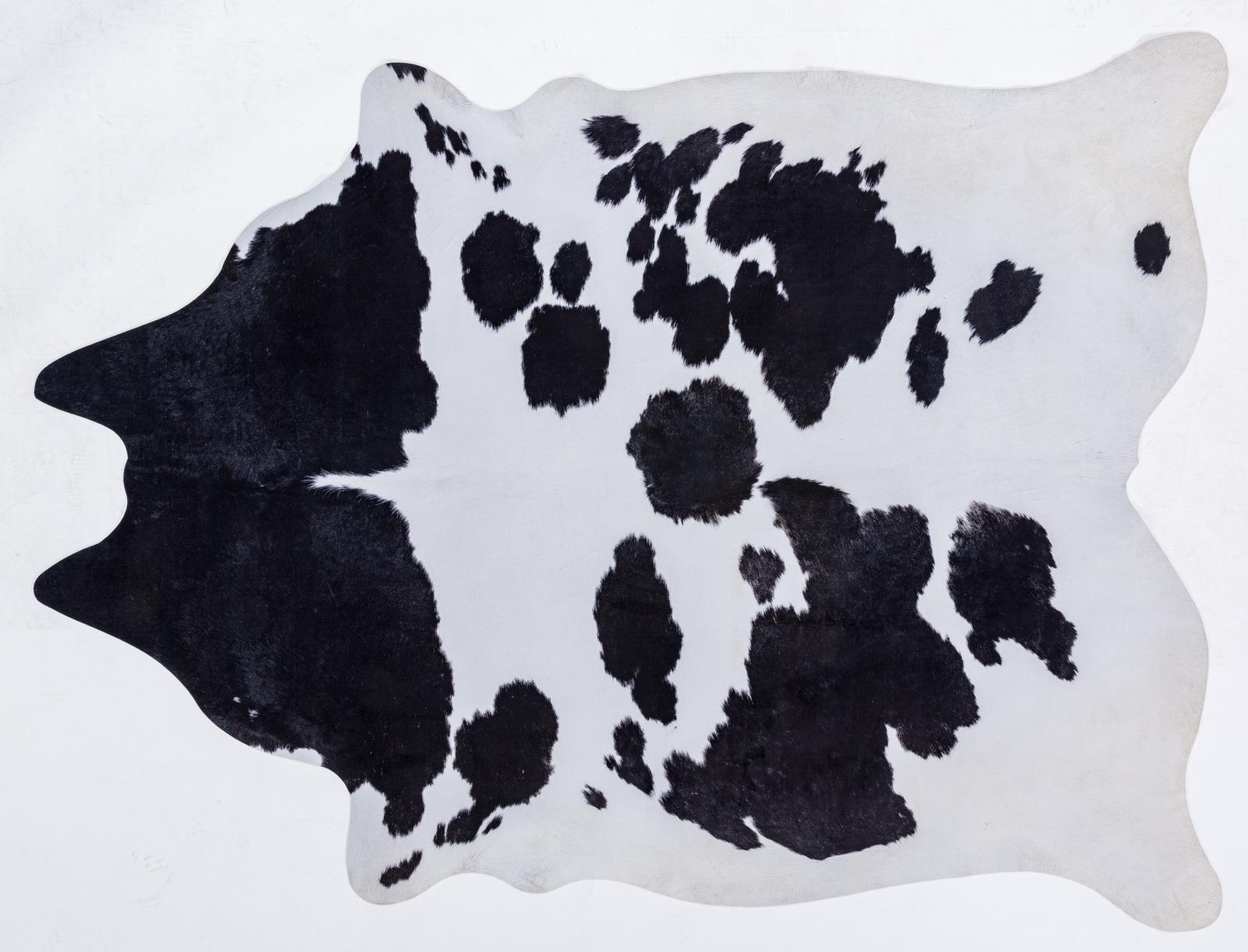 Rio RI05 White Area Rug — view 2