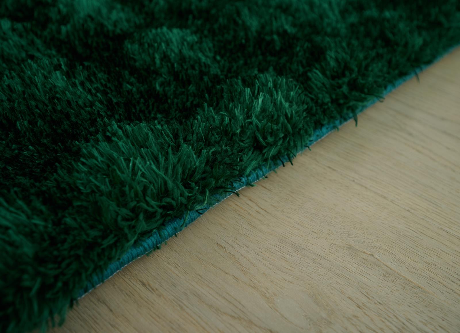 Sunny SU05 Green Area Rug — view 5