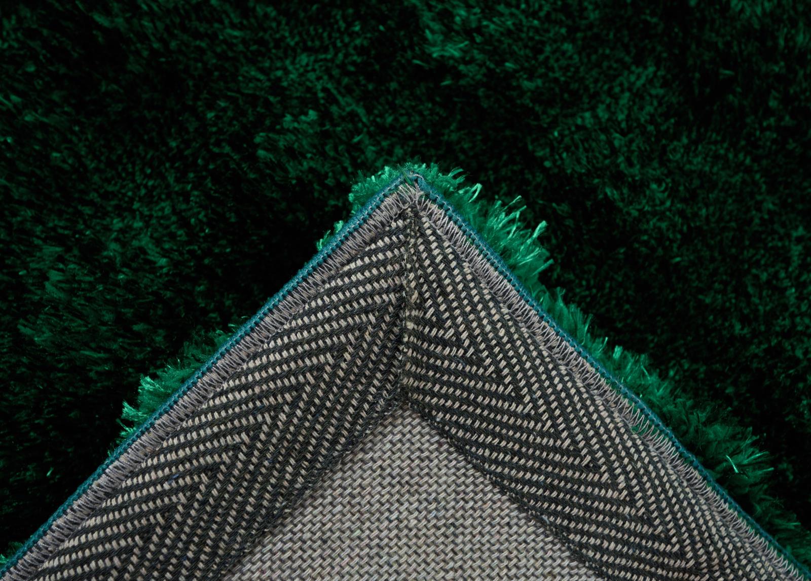 Sunny SU05 Green Area Rug — view 6