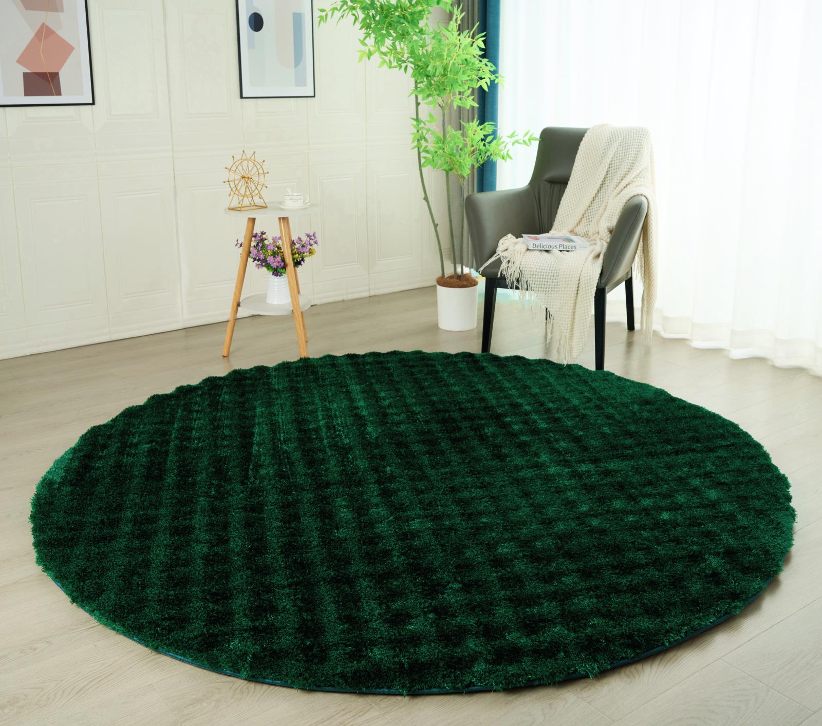 Sunny SU05 Green Area Rug