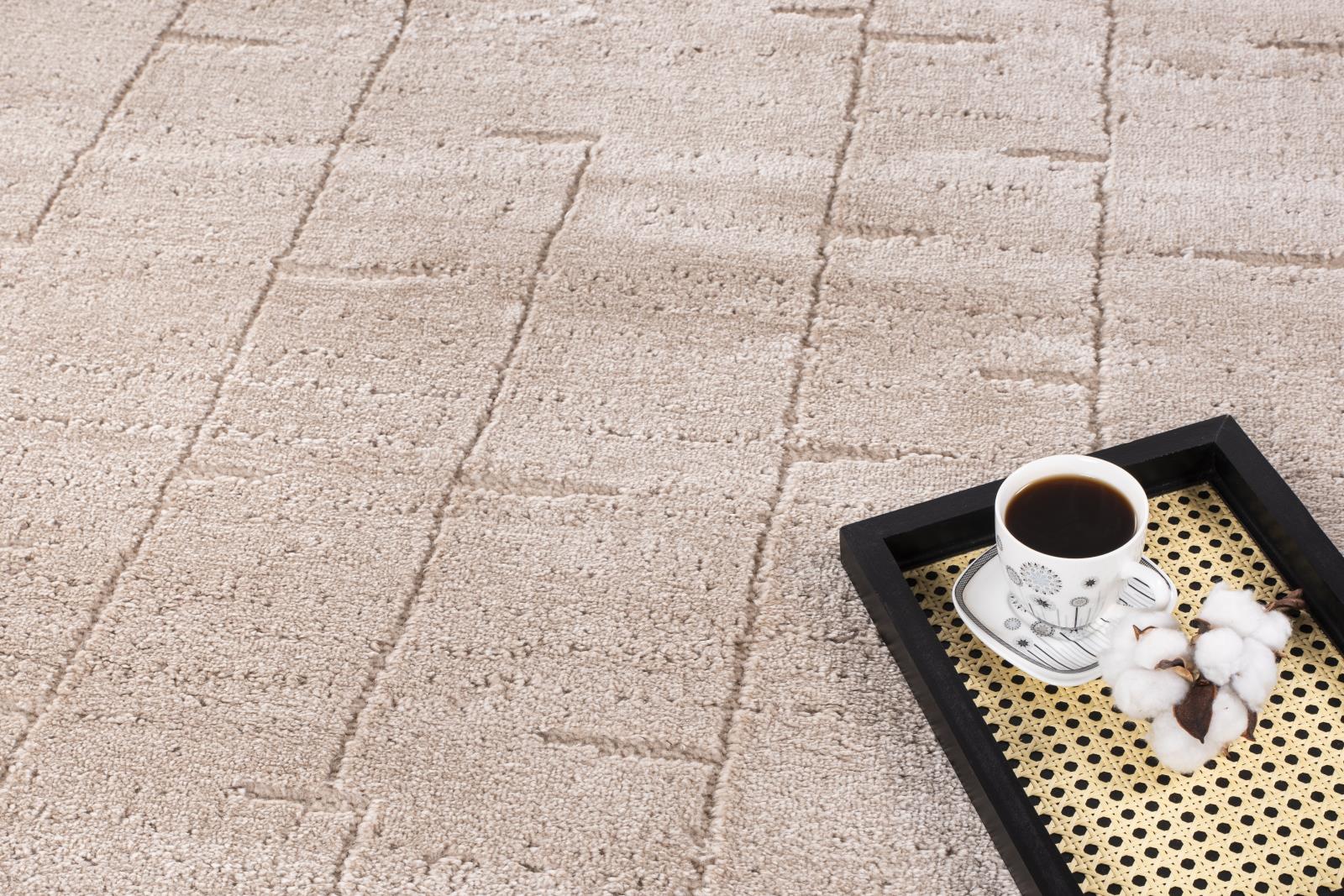 Horio HR02 Light Beige Area Rug — view 3