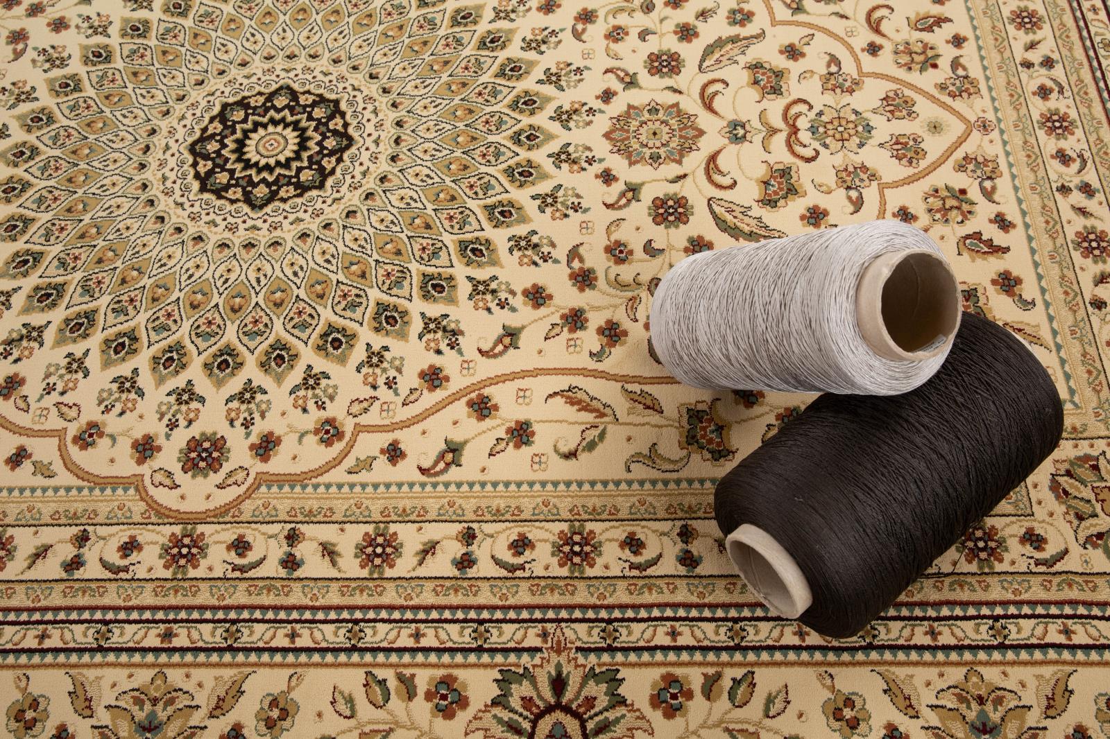 Izmir IZ10 Beige Area Rug — view 4