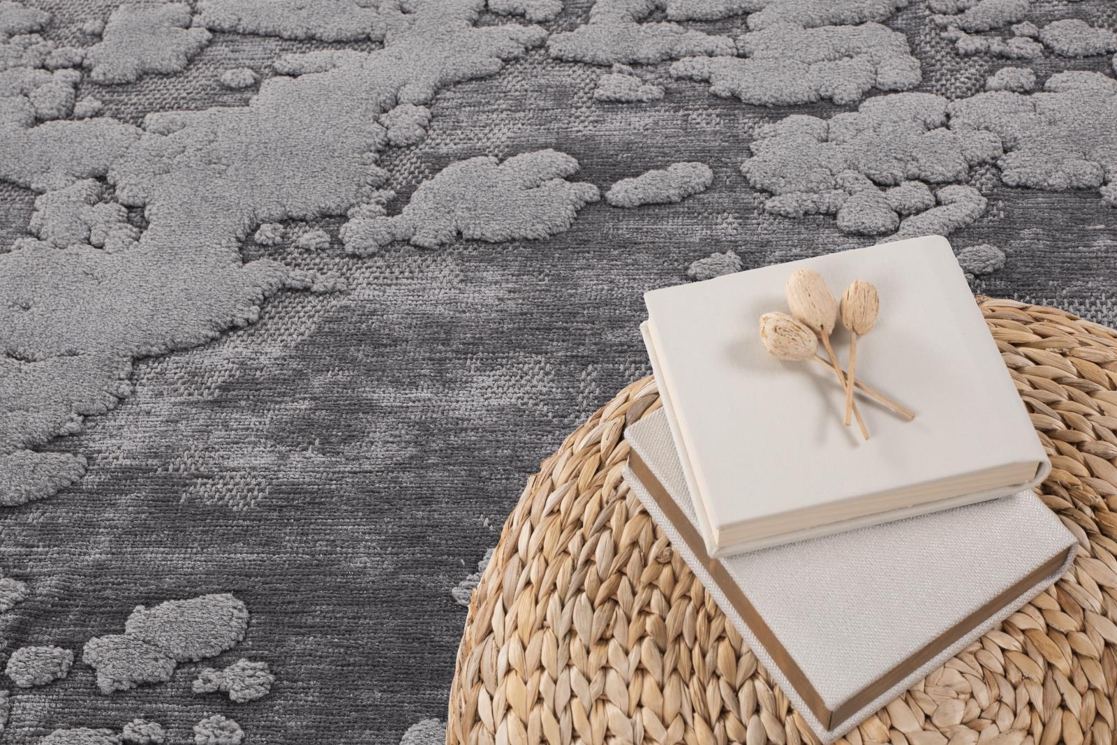 Lana LN04 Gray Area Rug — view 4