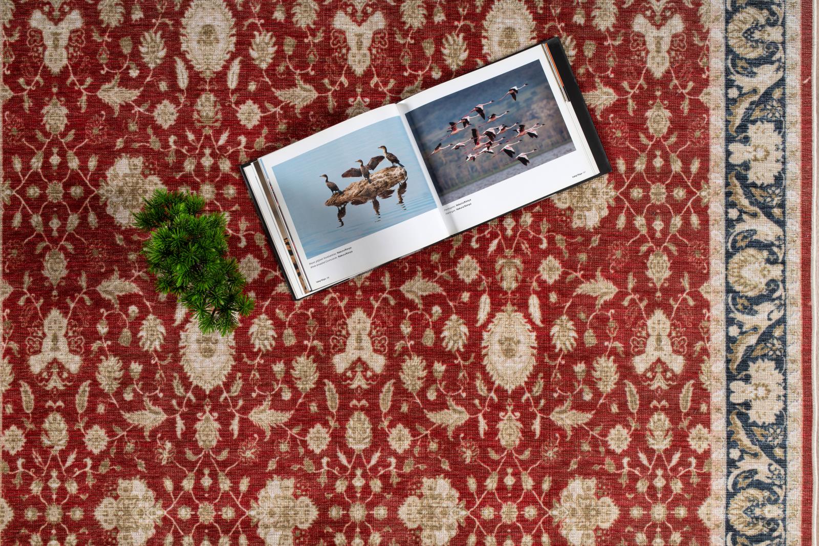 Washable WR11 Red Area Rug — view 3