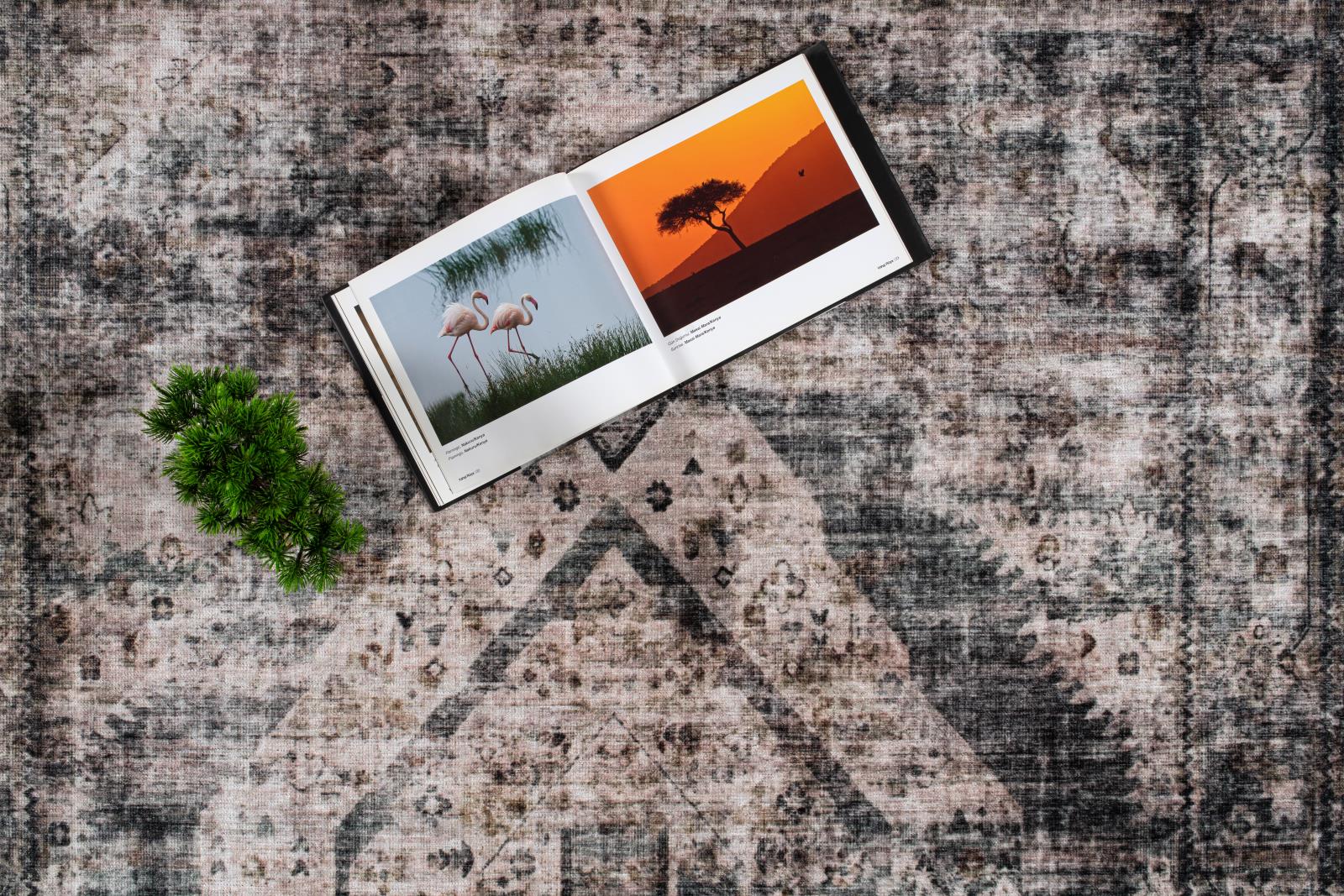 Washable WR10 Charcoal Area Rug — view 4