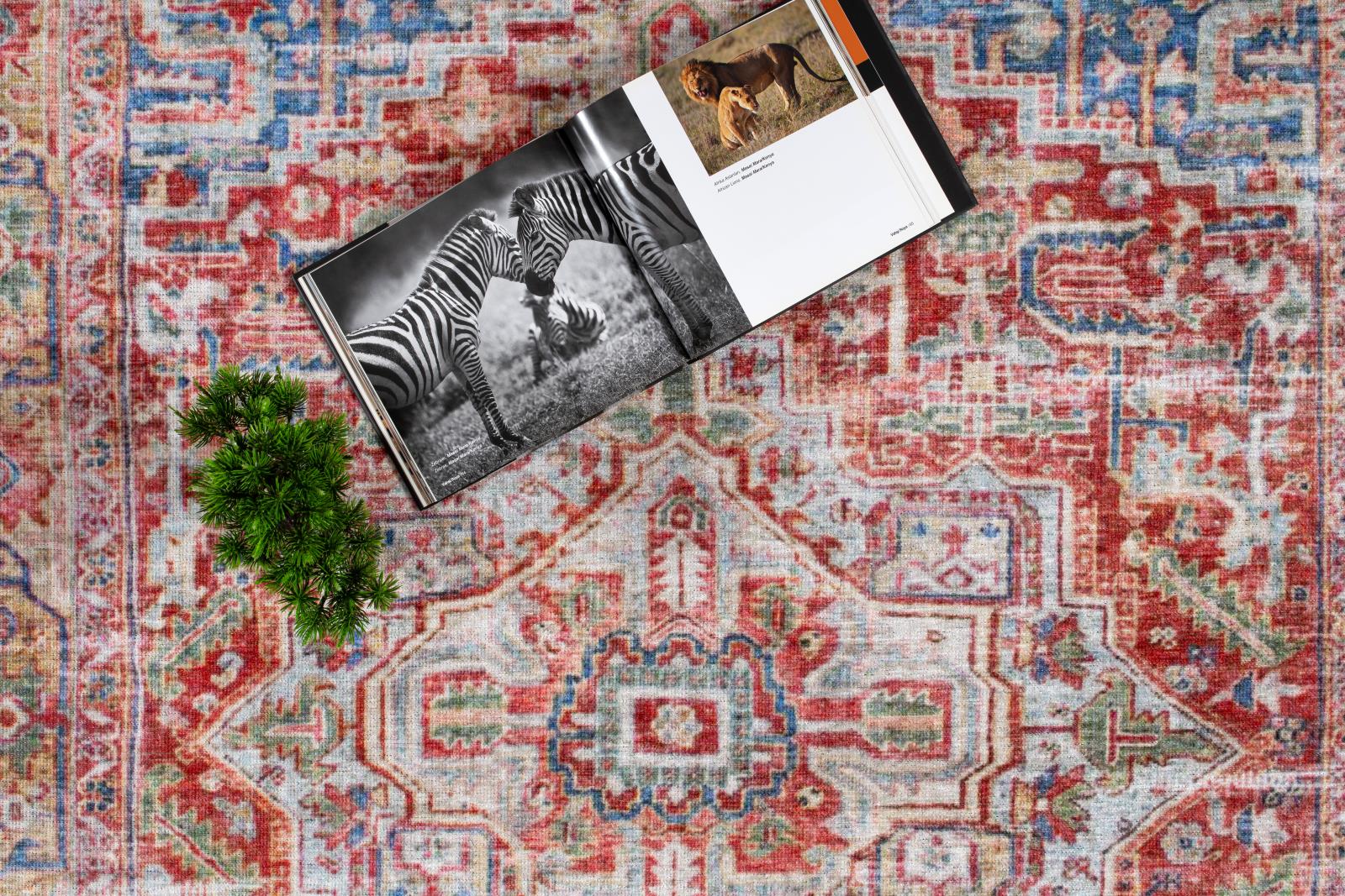 Washable WR08 Red Area Rug — view 4