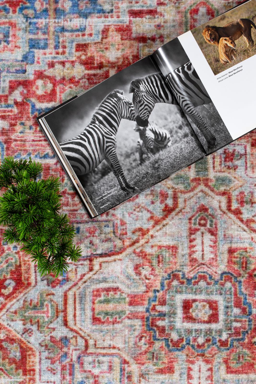 Washable WR08 Red Area Rug — view 6