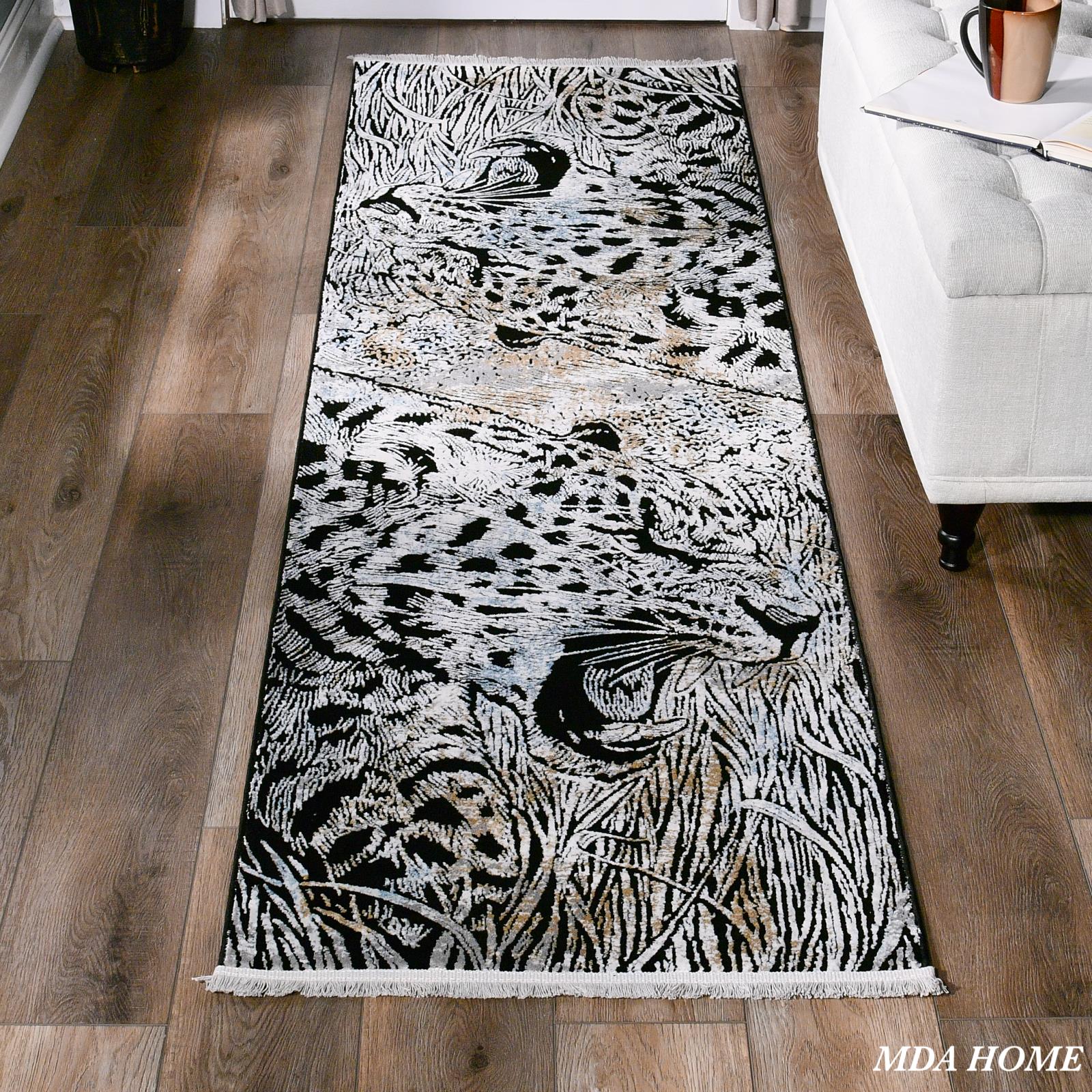 Xanthos XA08 Multicolor Area Rug