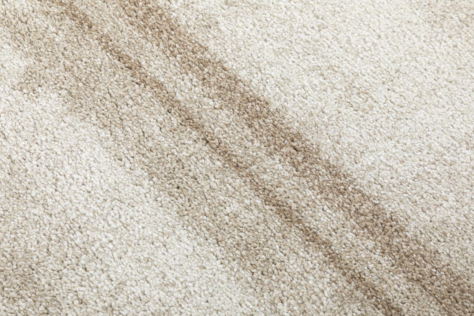 Royal RL04 Light Beige Area Rug — view 4