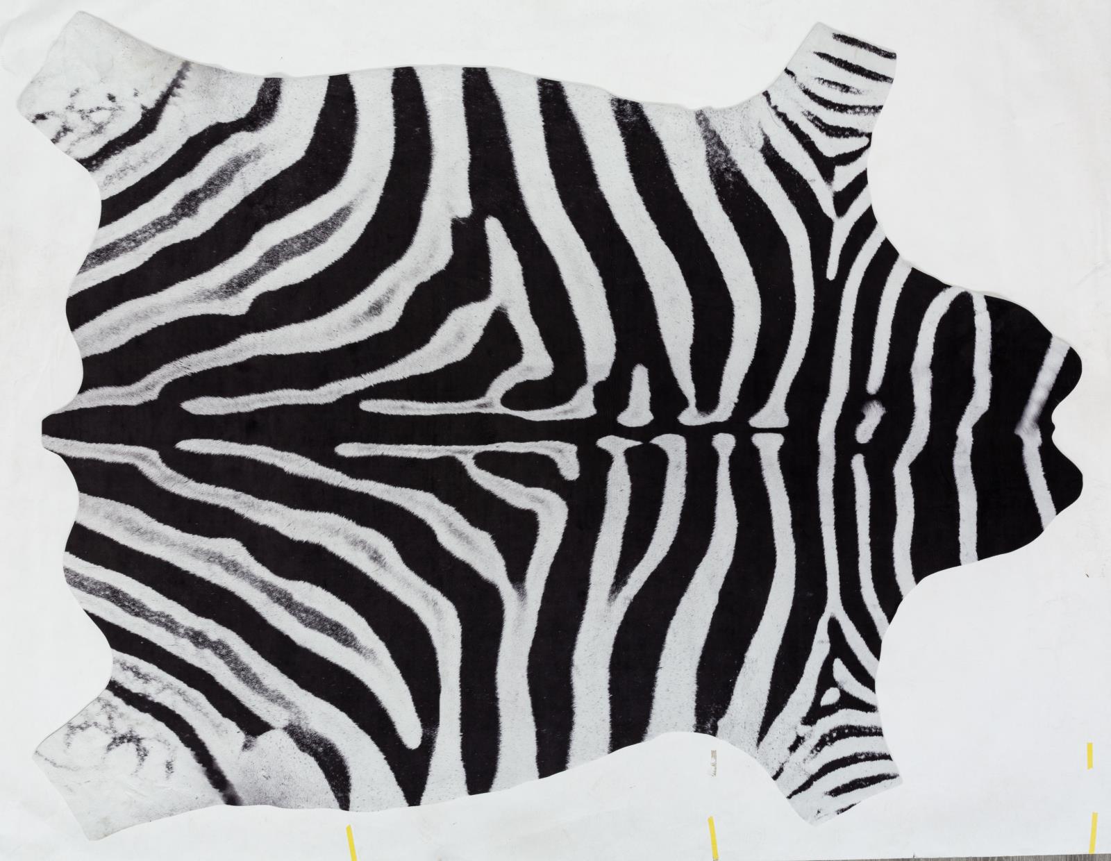 Rio RI09 Zebra Print Area Rug — view 6