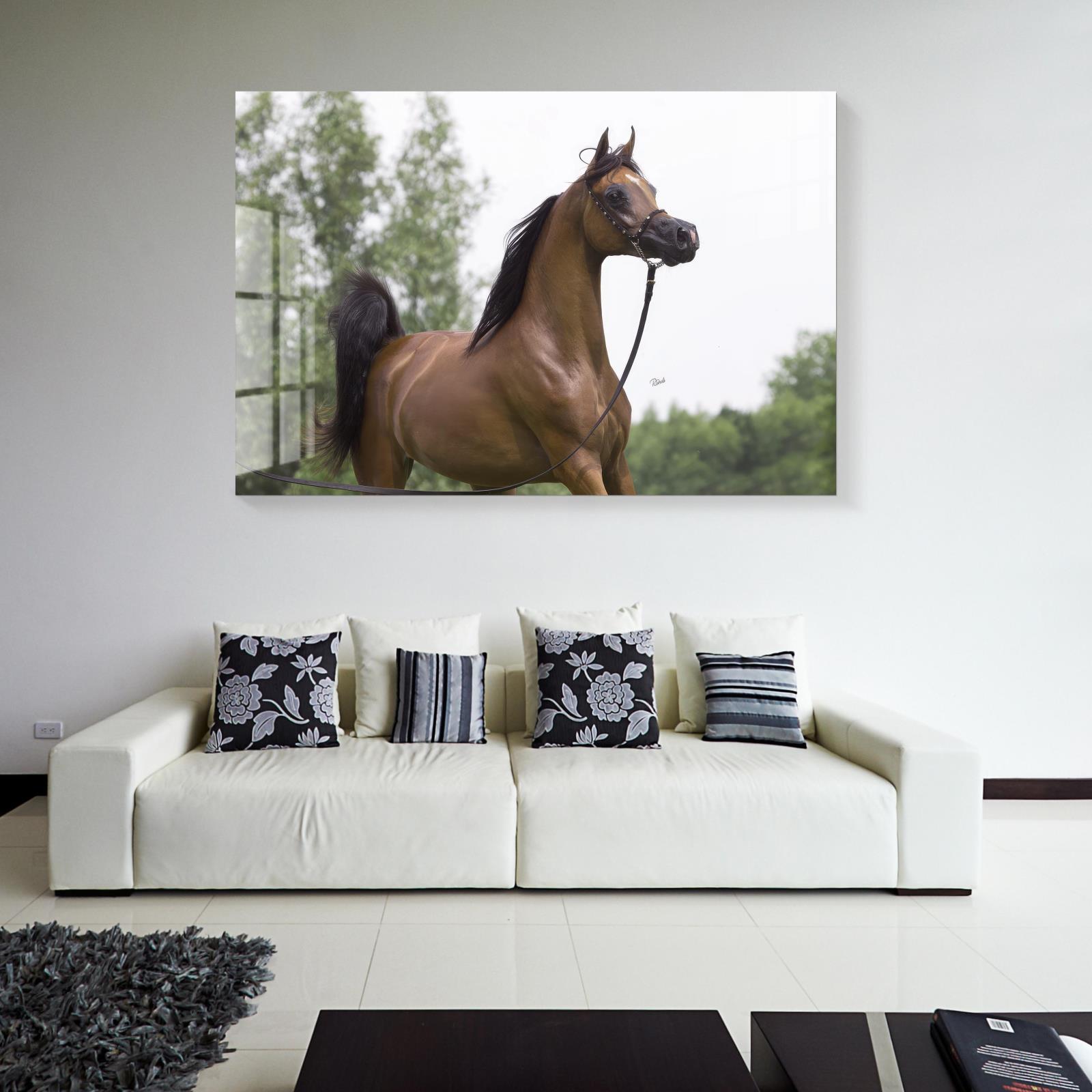 Tempered Glass A Arabian Horse