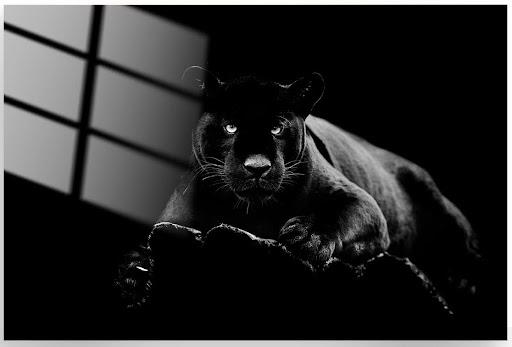 Tempered Glass Flying Black Panther