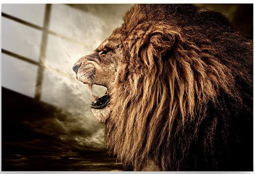 Tempered Glass Roaring Lion