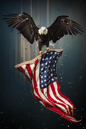 Tempered Glass American Flag