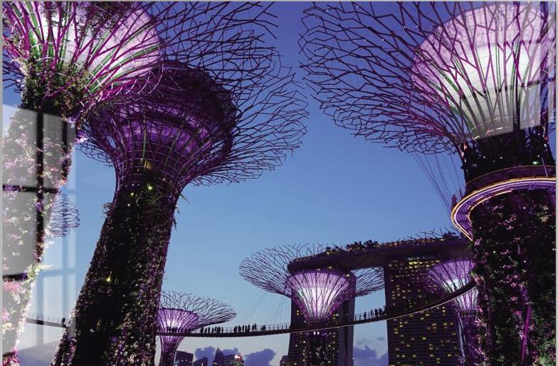 Tempered Glass Singapore Gardens By The Bay — view 2